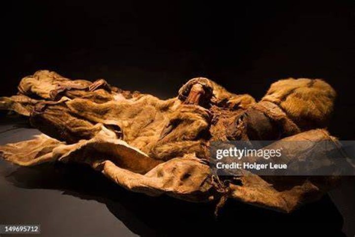 Qilakitsoq Mummy's Tattoo Up Close
