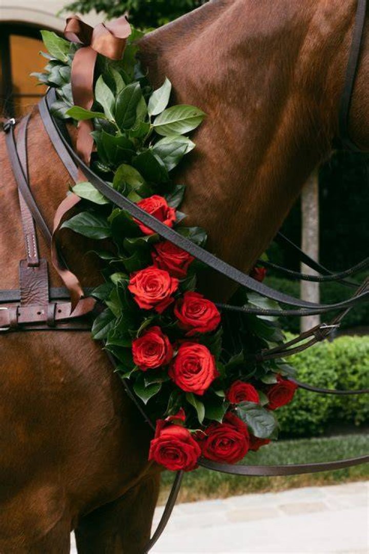 Roses Horses