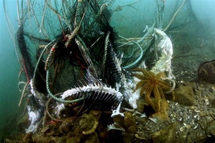 Scientists Pull Ghost Nets From Ocean