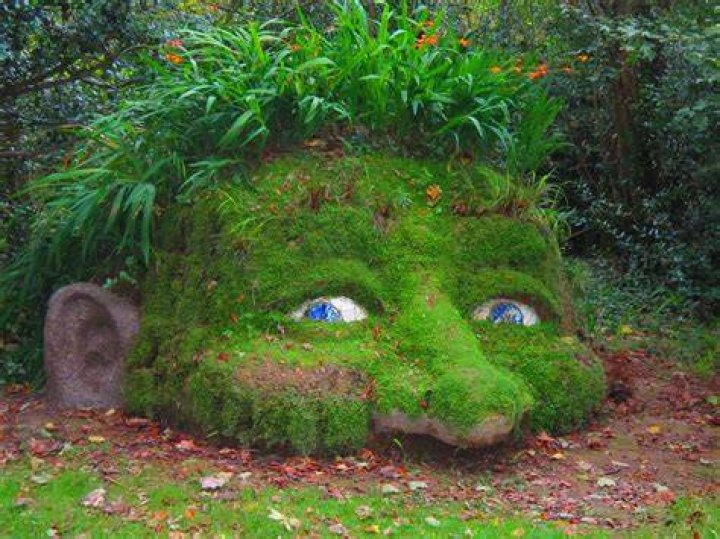 Secret Gardens Heligan Head