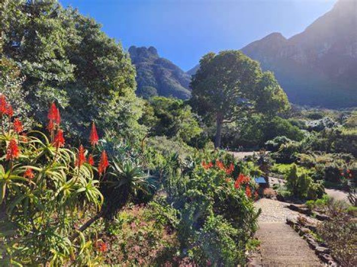 Secret Gardens In Kirstenbosch