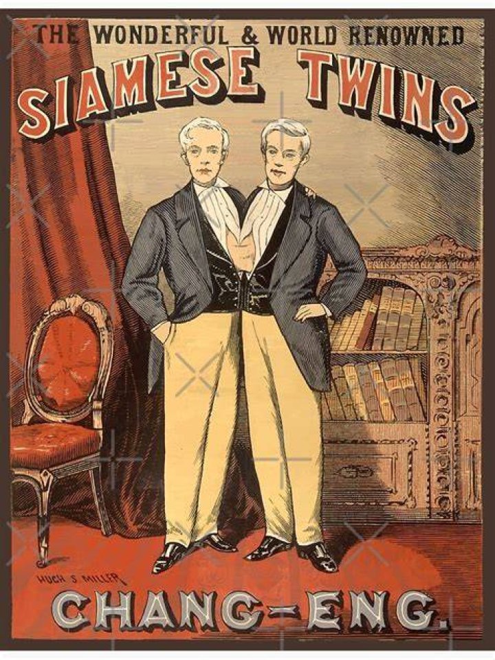 Siamese Twins Poster