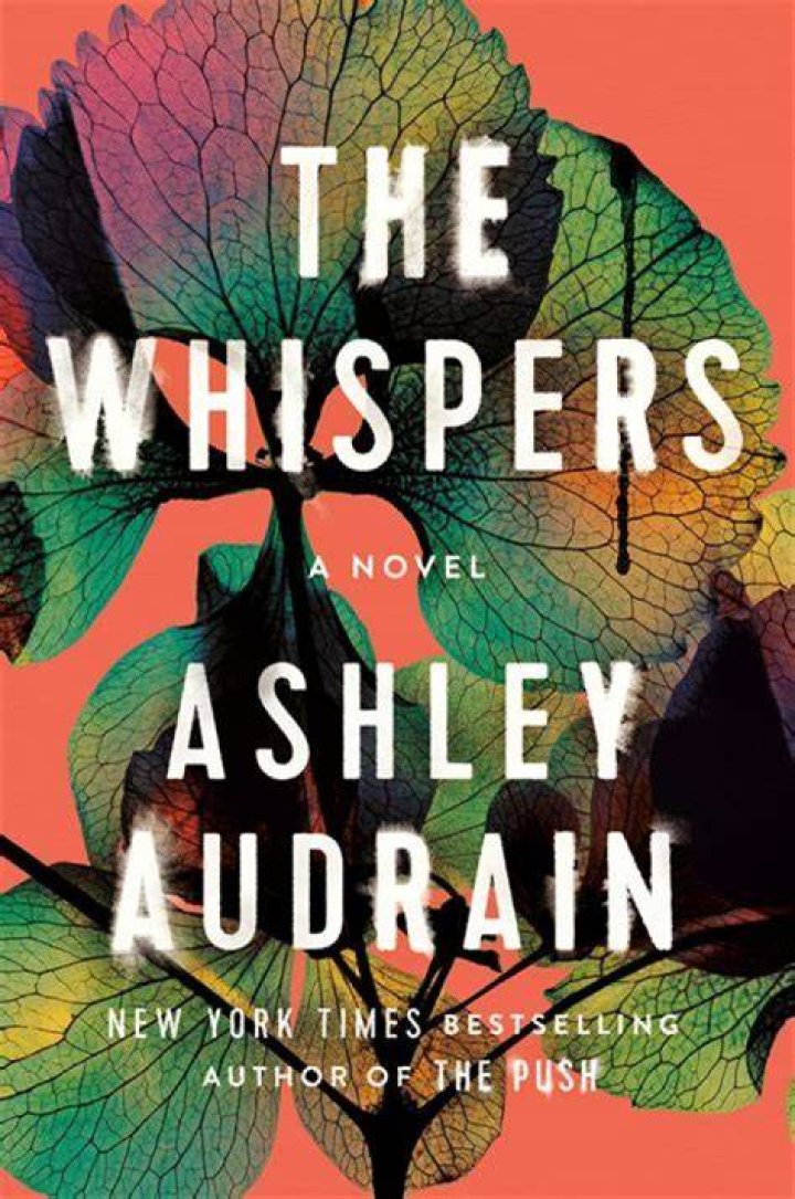 Stephen Schwarzman Height, Weight, Net Worth, Age, Birthday, Wikipedia, Who, Instagram, Biography