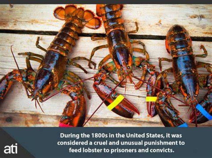 Strange History Facts Serving Lobster