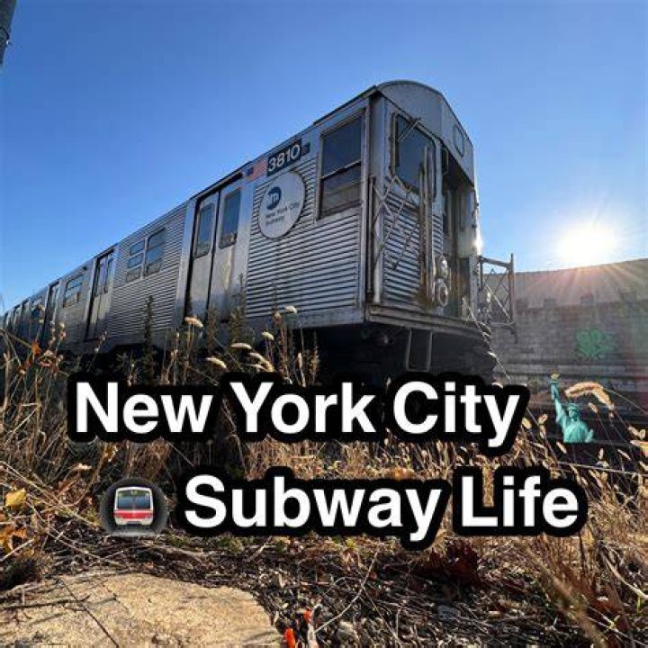 Subway Life
