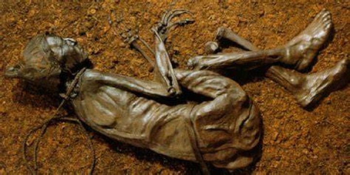 The Tollund Man Bog Body
