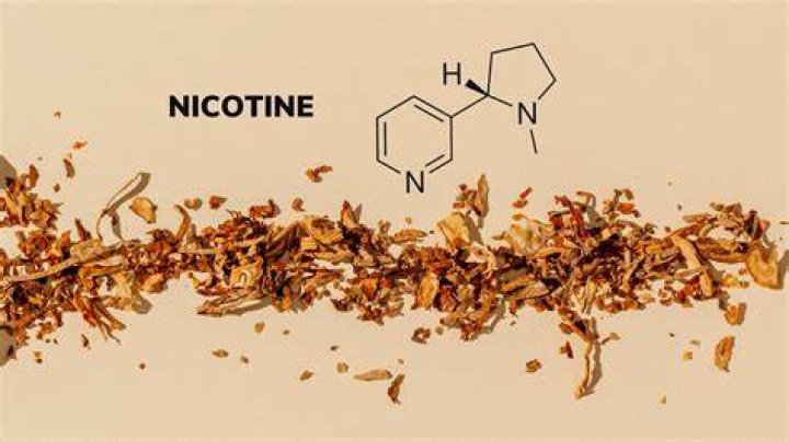Three Vessels Containing Nicotine