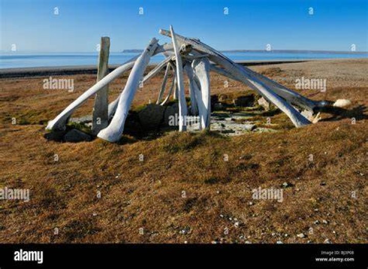 Thule Home Made Of Whalebone