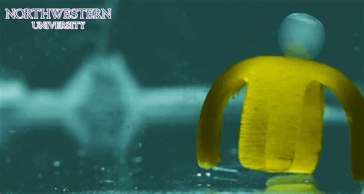 Tiny Northwestern University Robot