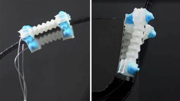 Tiny Soft Robot From Northwestern University