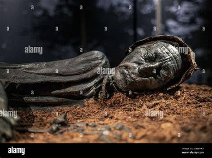 Tollund Man Remains