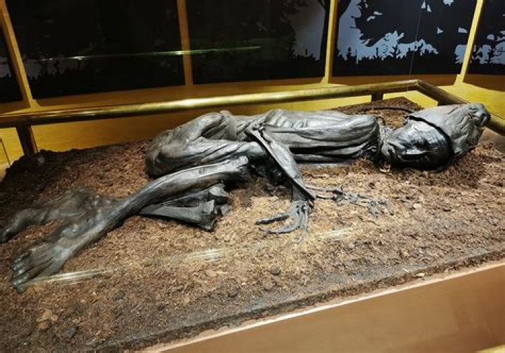 Tollund Man