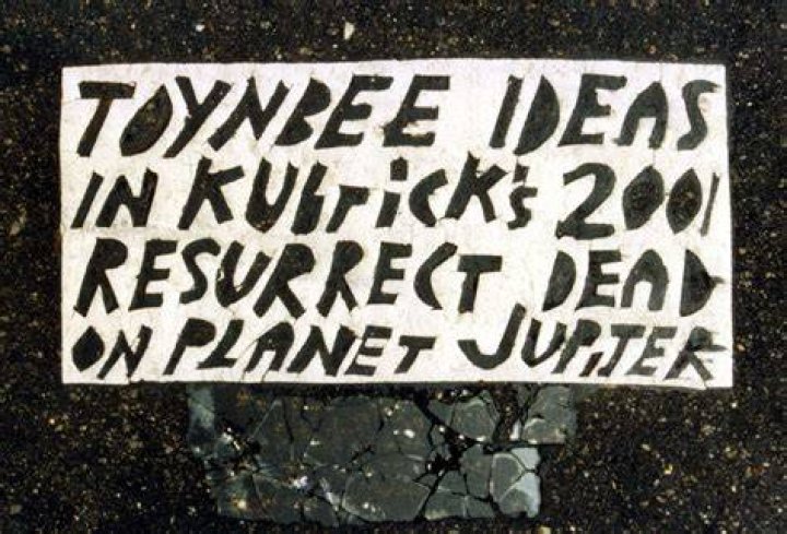 Toynbee Idea In Kubrics 2001
