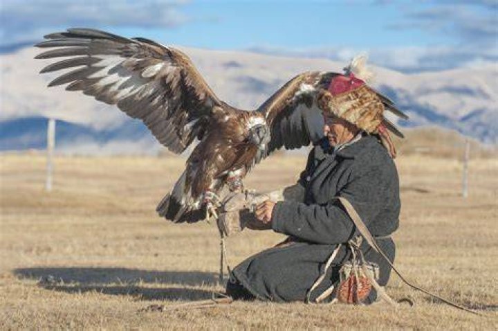 Two Mongolian Eagle Hunters