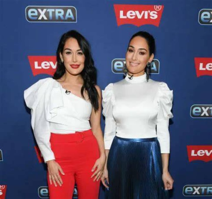 What are the Bella Twins net worth?