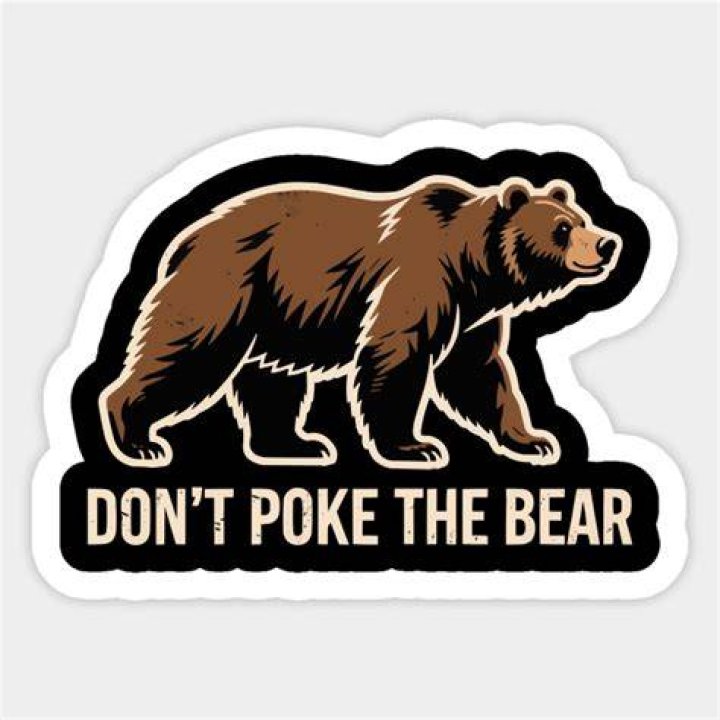 What does the phrase don’t poke the bear mean?
