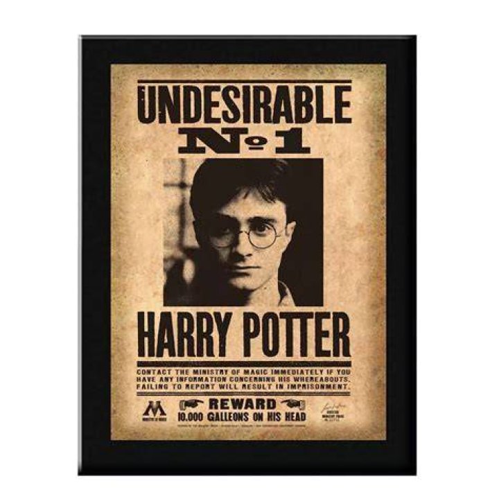 What does Undesirable No. 1 mean in Harry Potter?