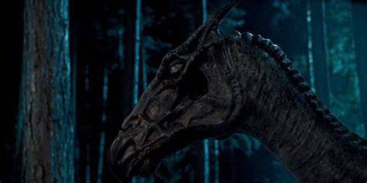 What was the Thestrals name in Harry Potter?