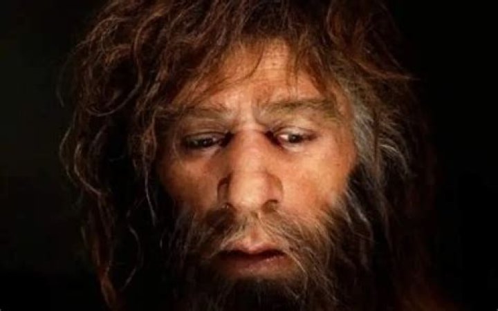 چه چیزی باعث موفقیت مغول ها شد؟